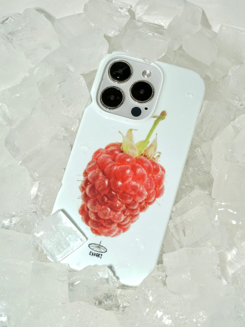 🍽️ A Raspberry