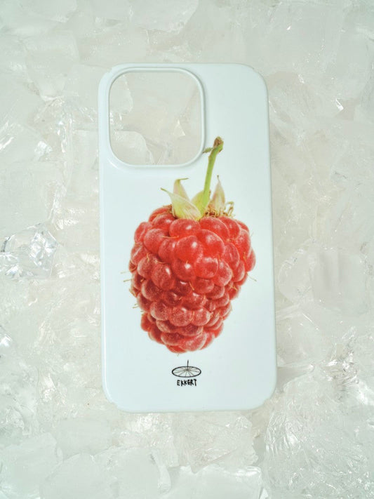 🍽️ A Raspberry