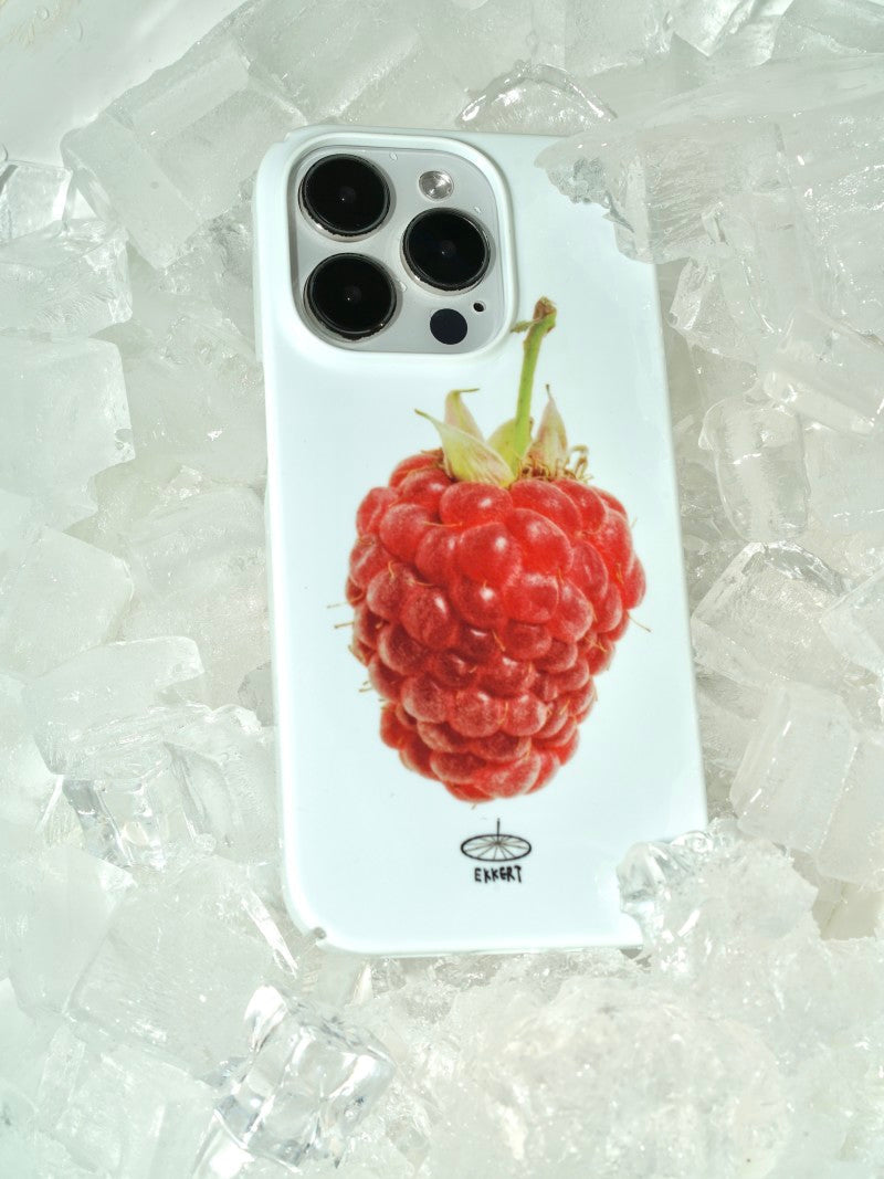 🍽️ A Raspberry