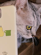 🍐A thinking pearphone accessories - Three Fleas
